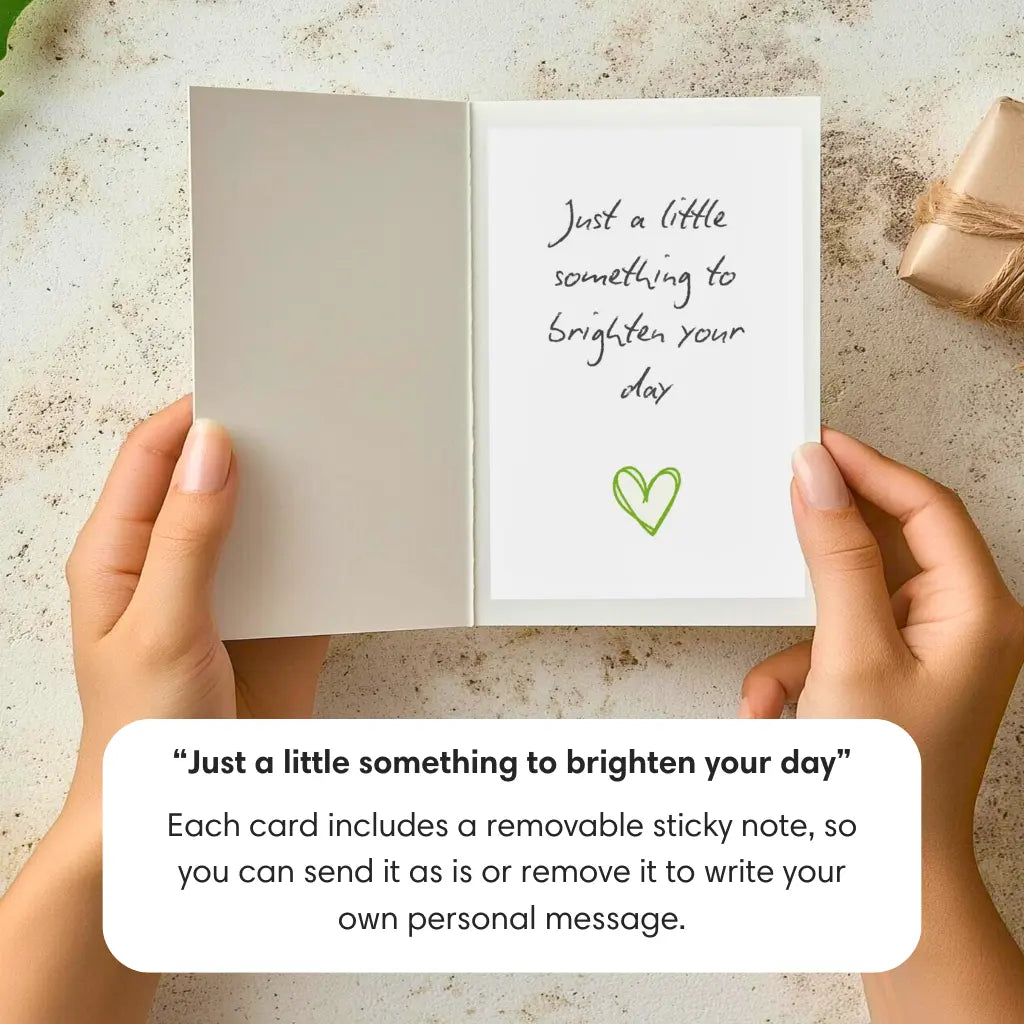 Mini Cheerful Gerberas PetalPal