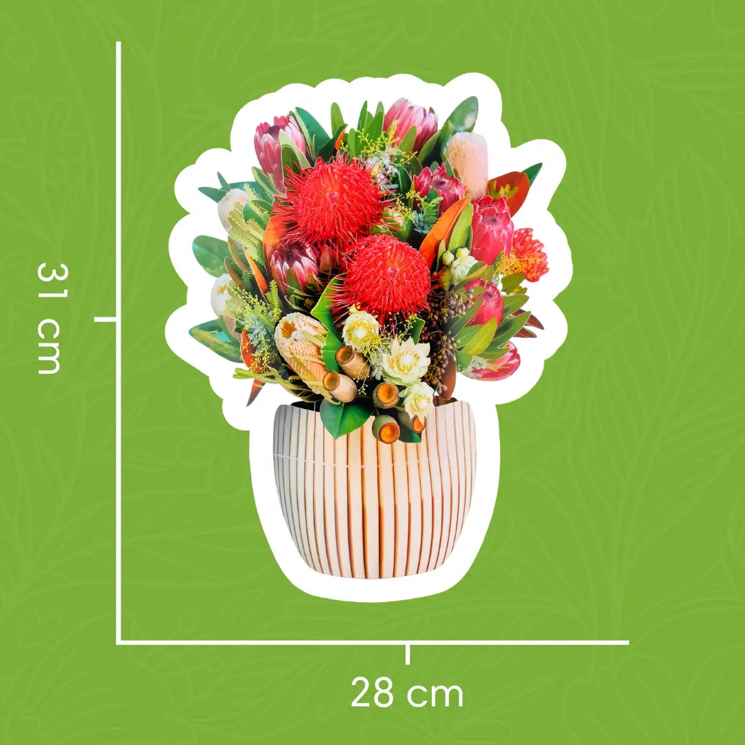 Yarra Dreaming PetalPal