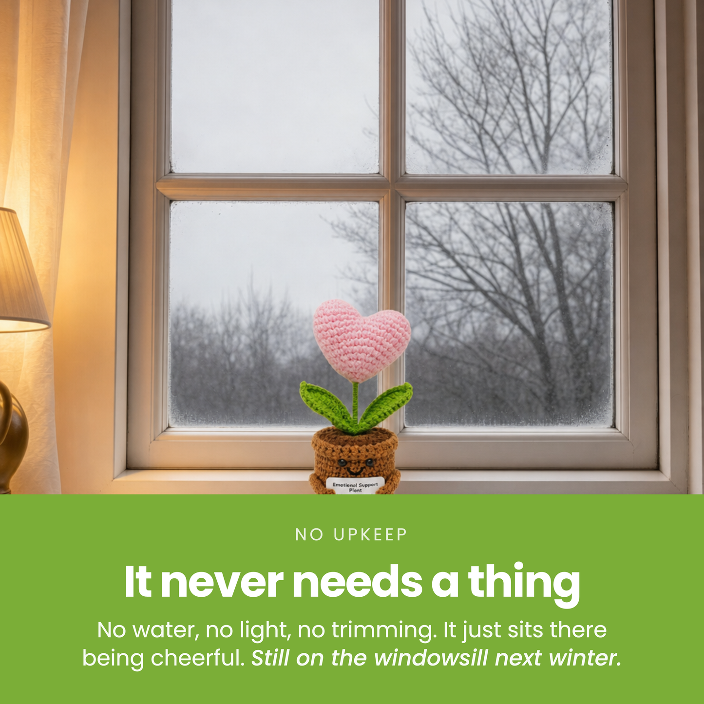 It never needs a thing [pl:47824cc029f9]