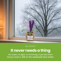 It-never-needs-a-thing-[pl:c21ef30d80ba]