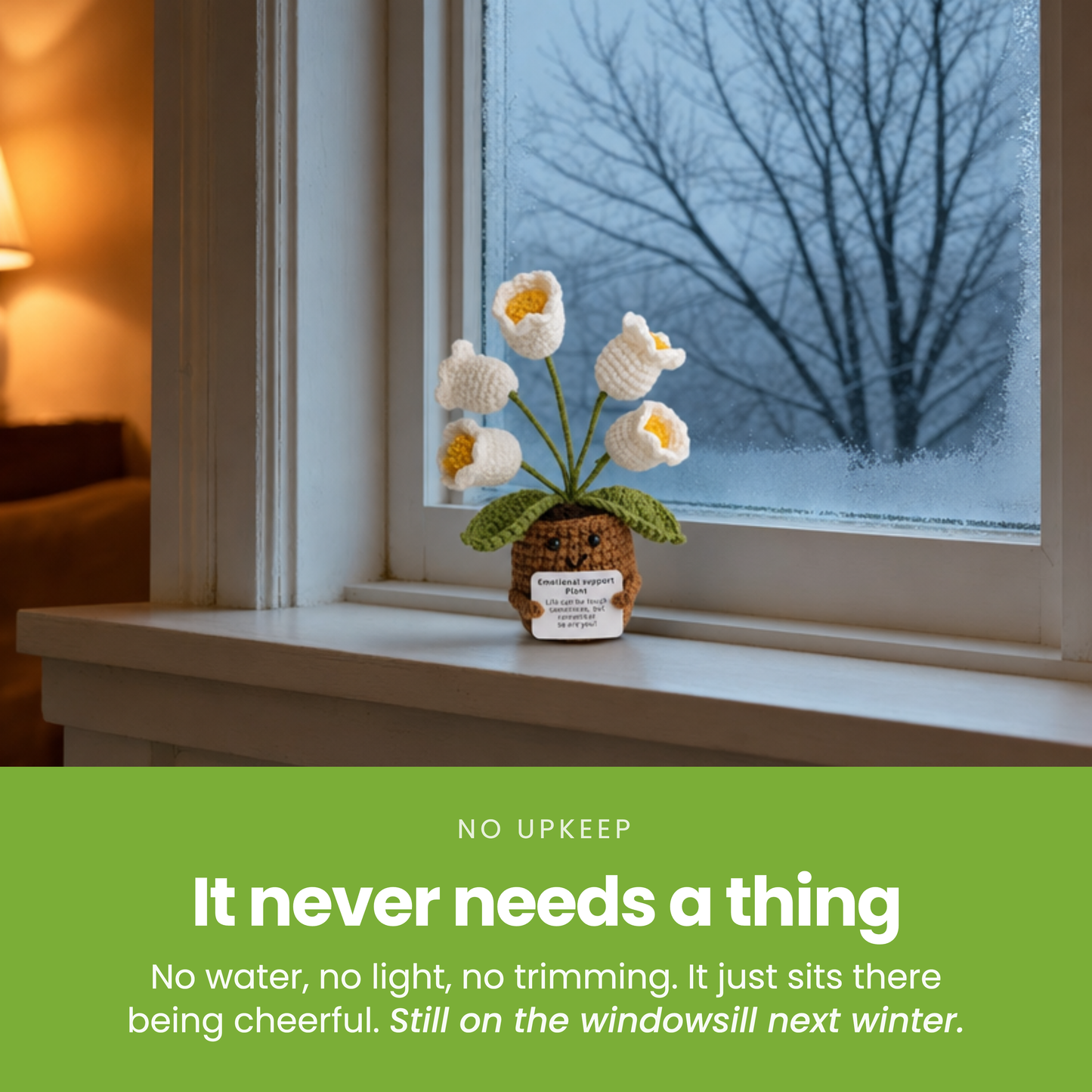 It never needs a thing [pl:d703c0d8d395]