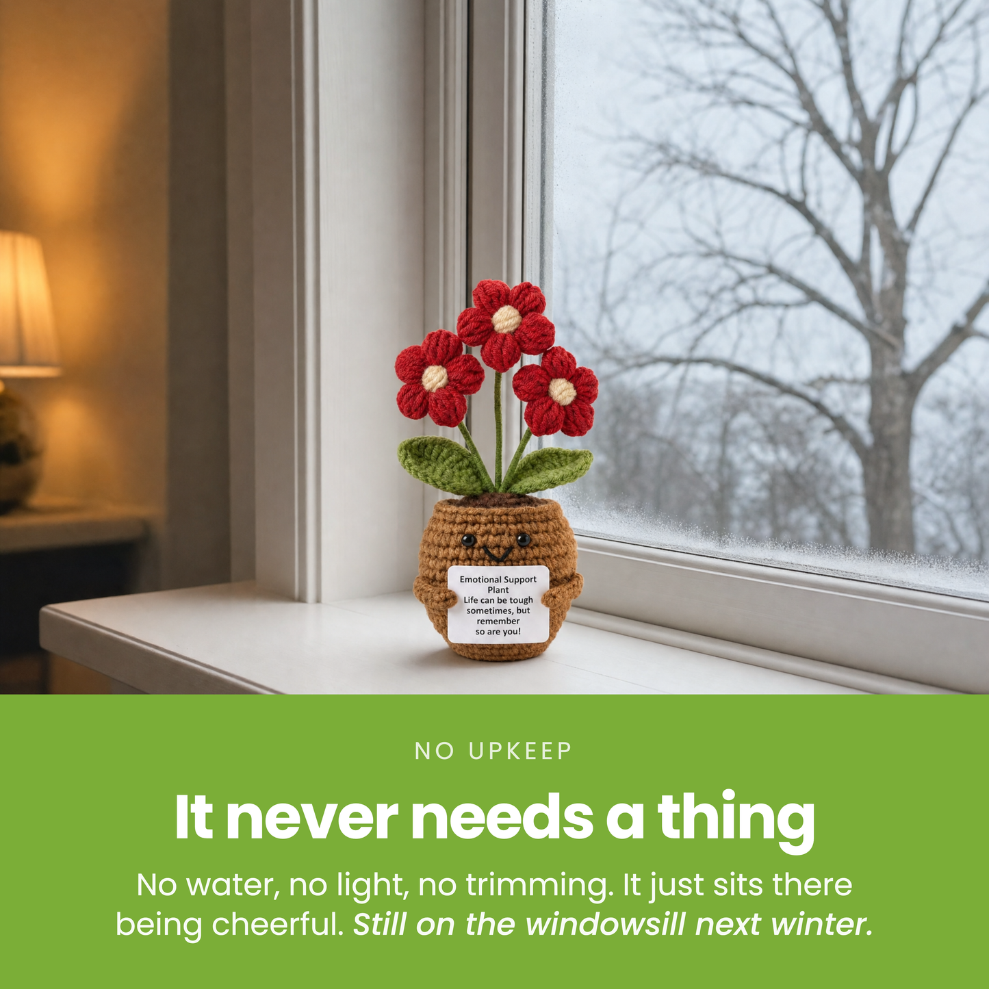 It never needs a thing [pl:cae62ecdc874]