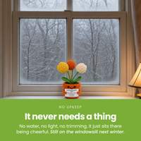 It-never-needs-a-thing-[pl:04920b936738]