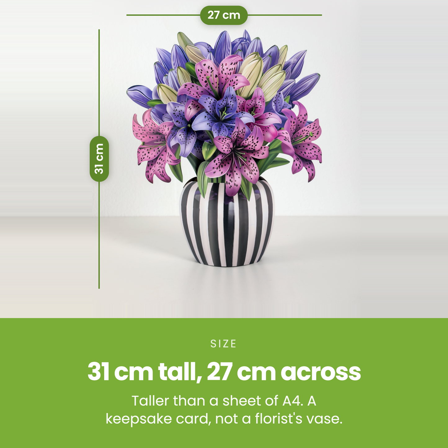 31 cm tall, 27 cm across [pl:197f5d6bc313]