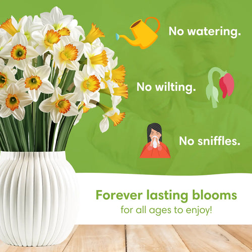 Daffodil Bloom Pop-Up Bouquet