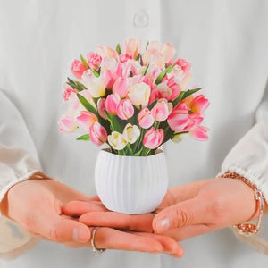 Mini-Tulip-Kisses-PetalPal